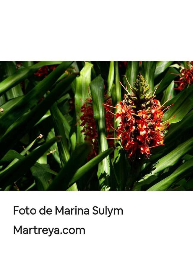 Jardin De Naipi 2 Leilighet Puerto Iguazú Eksteriør bilde